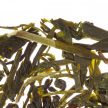 Althaus Sencha Senpai szálas zöld tea 250g