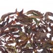 Althaus Darjeeling Castleton szálas fekete tea 250g
